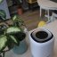 Dehumidifier Post 3